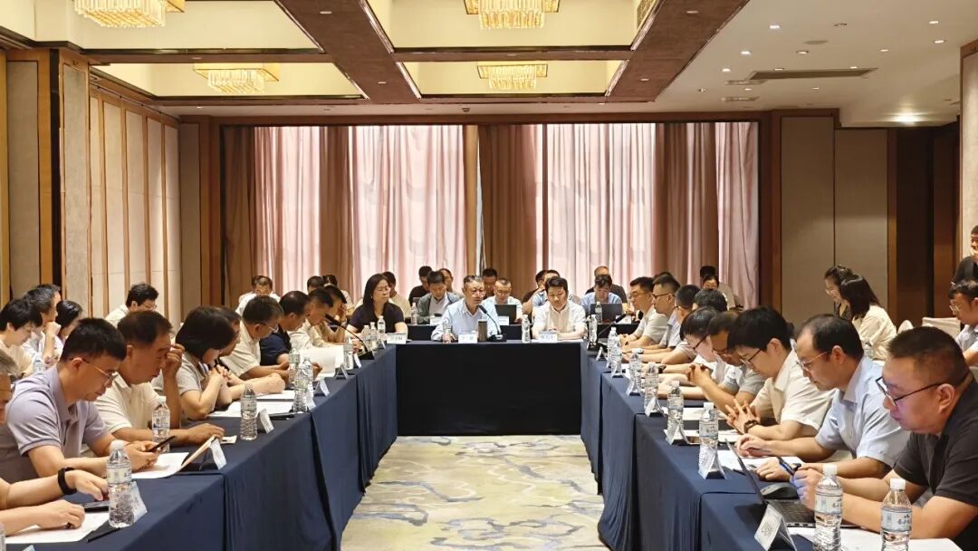 中储国能编制的2项压缩空气储能国家标准顺利通过送审稿审查