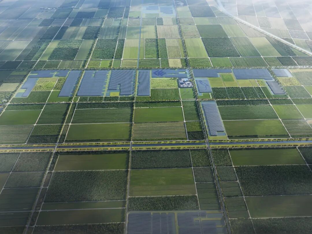 价值体现！晶科飞虎3实力中标国家能源湖南公司两大光伏项目