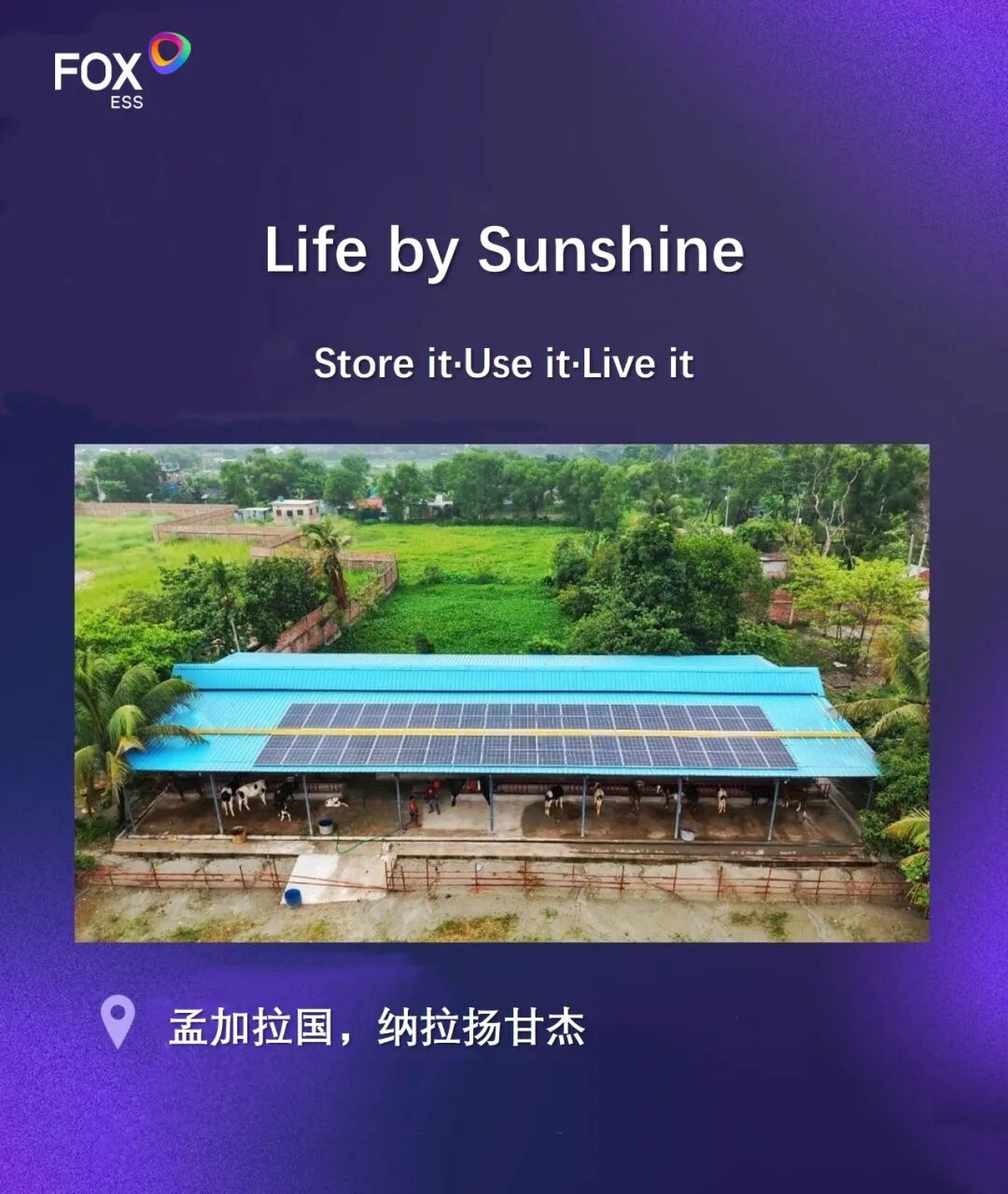 这座奶牛场，有了自己的“能量管家”