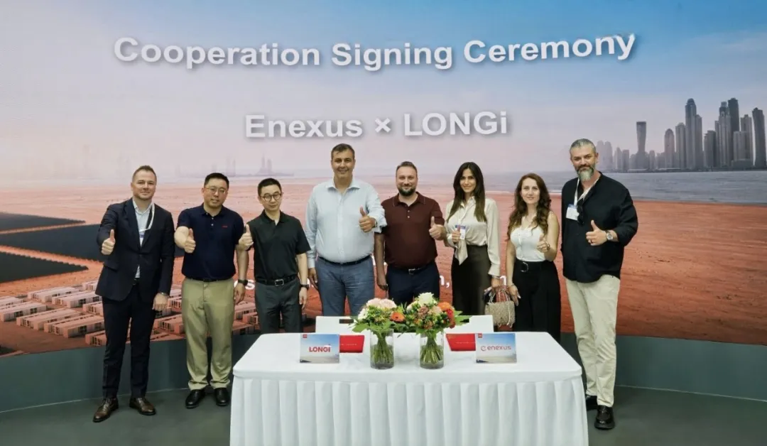 合作不能停!Enexus与隆基再签50MWh