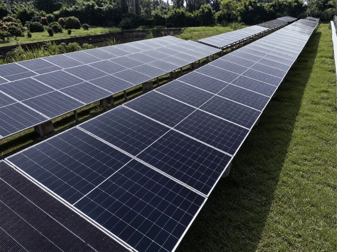 首月实测数据出炉!TCL Solar BC产品海口极端场景验证,单瓦发电量较常规BC高1.43%