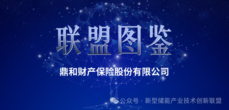 联盟图鉴 | 鼎和财产保险股份有限公司(能源强国·点绿成金)