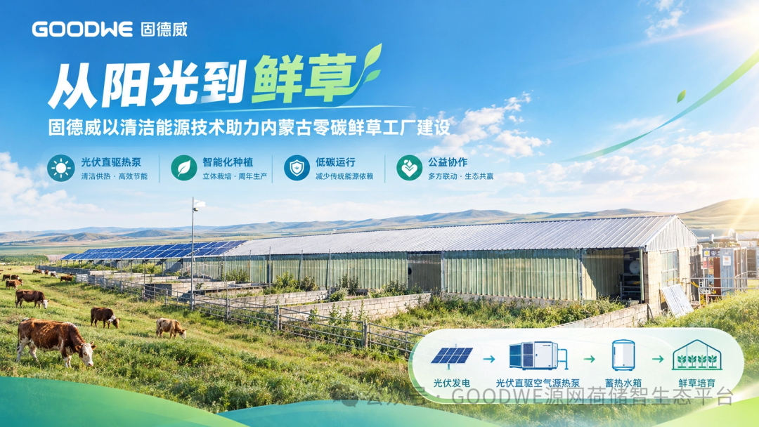 从阳光到鲜草:固德威以光伏直驱热泵解决方案,助力内蒙古鲜草工厂能源转型
