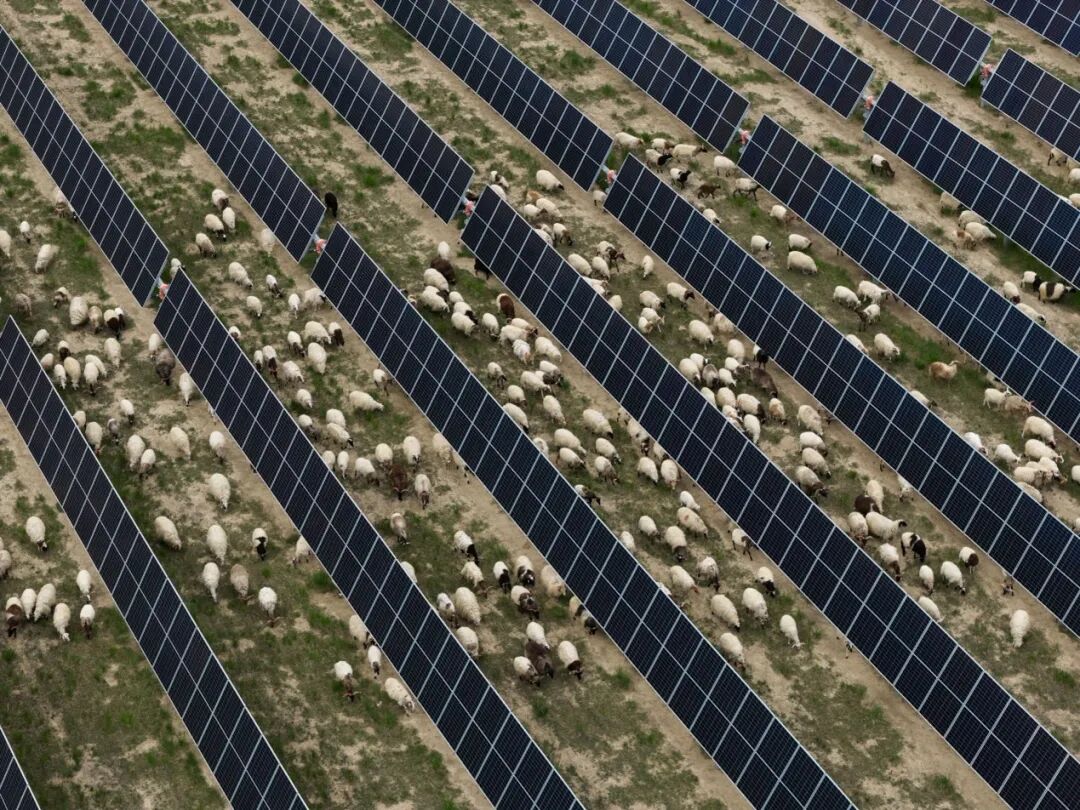 天合光能荣获2026 Wind ESG AAA最高评级，可持续发展实力获权威认可