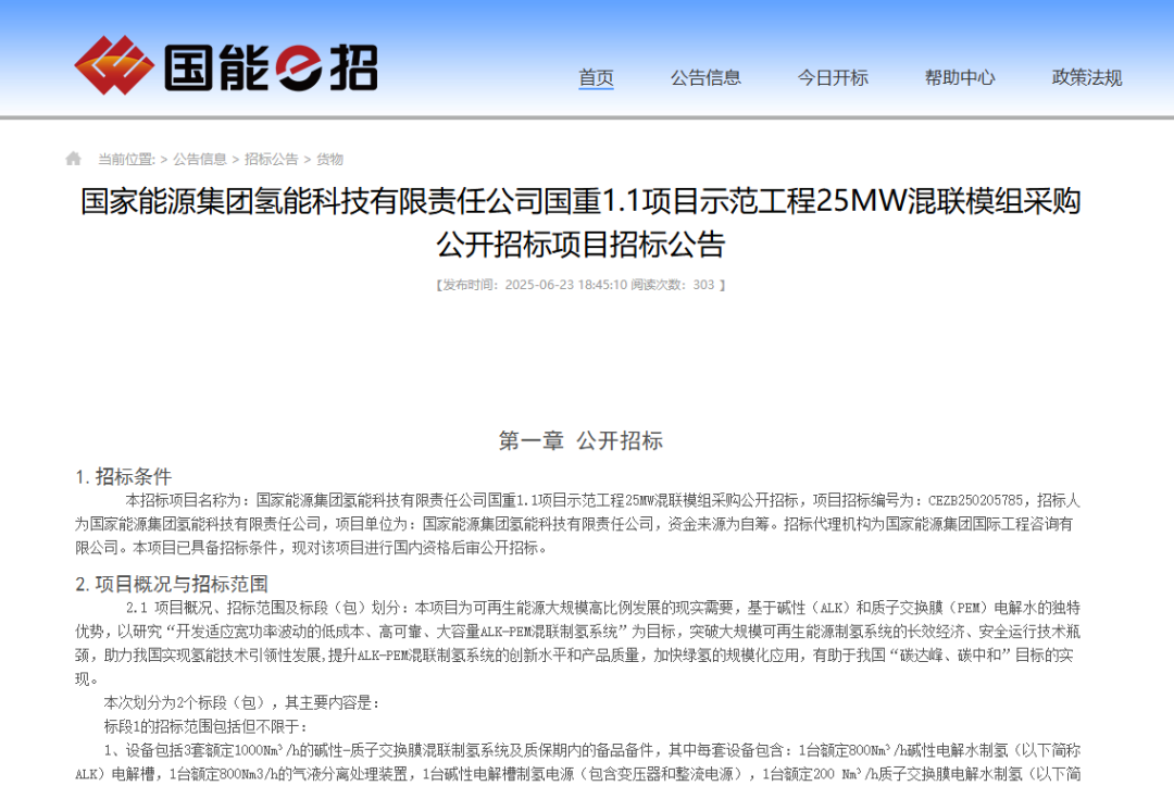国家能源集团采购5000Nm³/h碱性+PEM混联制氢系统