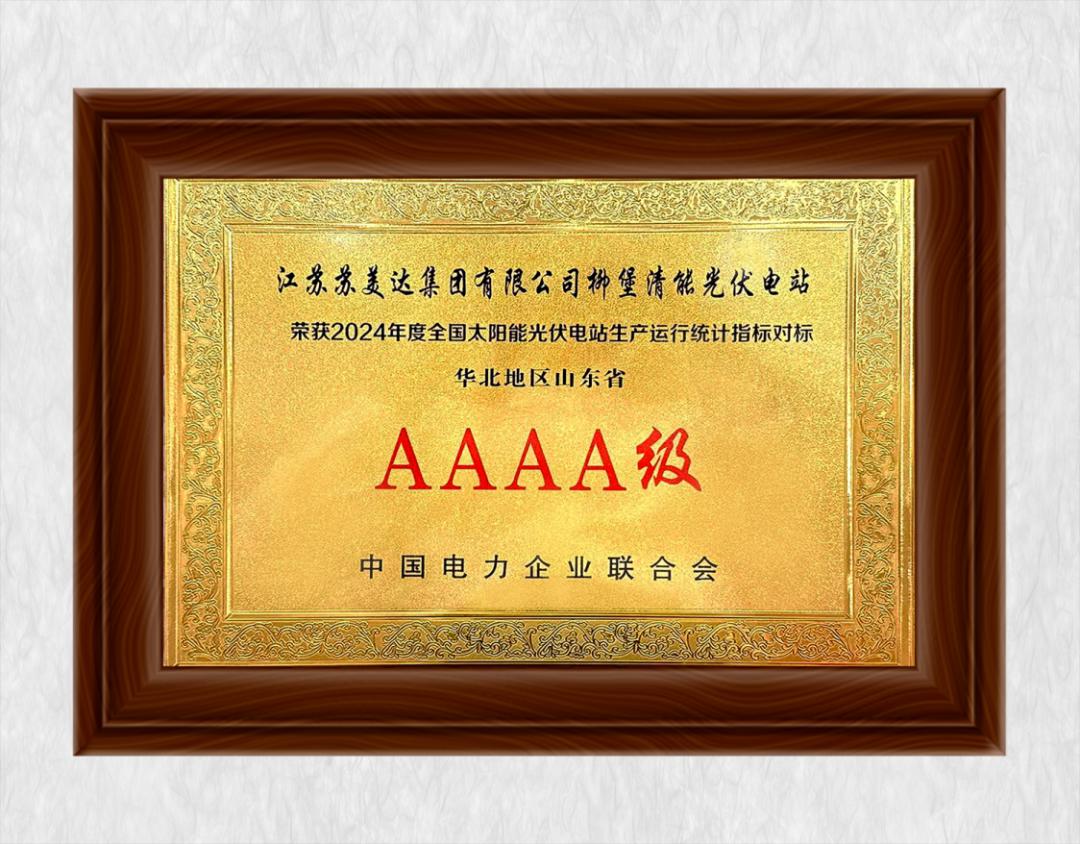AAAA！苏美达能源荣膺中电联2024年度光伏发电运行指标4A评级