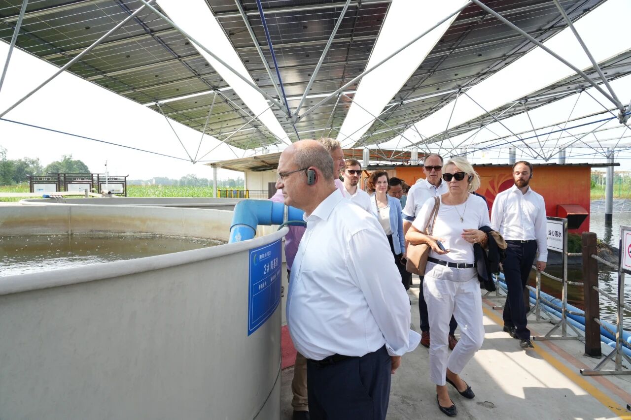 中德农业周首次在川举办！德国代表团一行走进通威渔光示范园调研