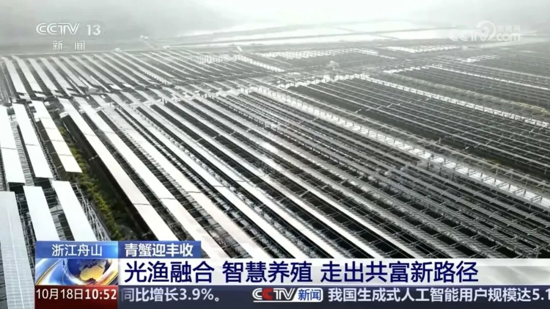 央视报道点赞“光伏+”新标杆：浙江舟山光伏板下“蟹”逅绿色财富