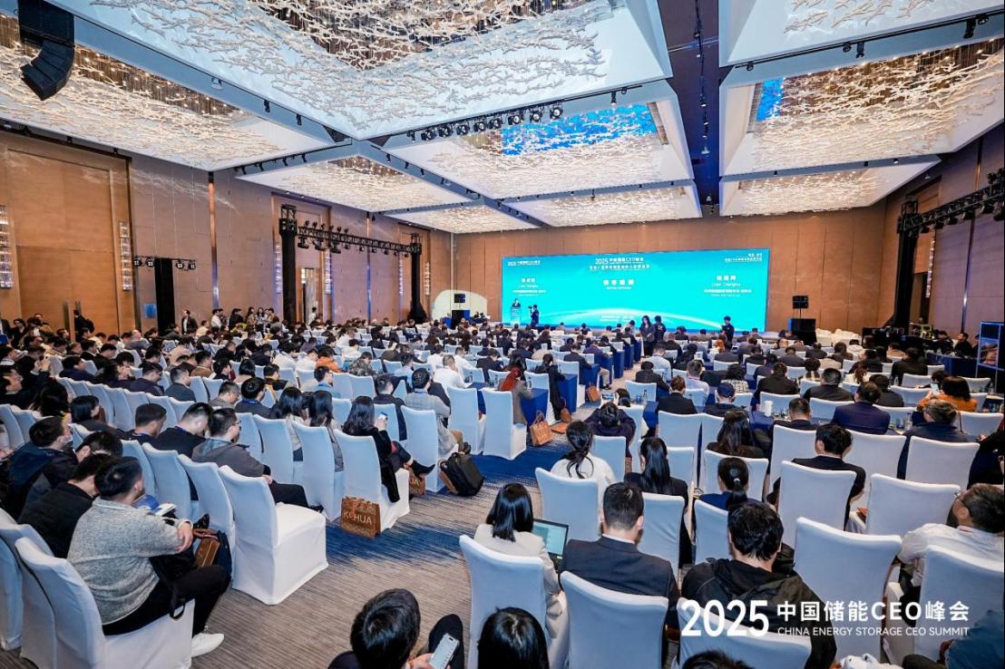 2025中国储能CEO峰会暨第十届国际储能创新大赛预选赛在厦门成功举办