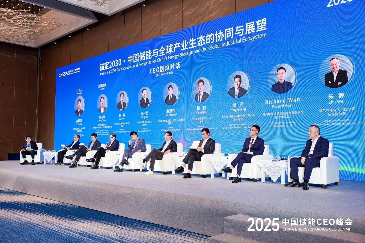 天合储能杨豹:以本地深耕与光储协同, 构筑储能稳健发展之路