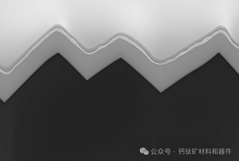 Science最新：钙钛矿层在工业纹理硅片上的一致性生长以制备高稳定性叠层太阳能电池