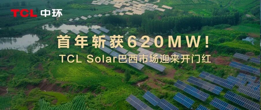 首年斩获620MW！TCL Solar巴西市场迎来开门红