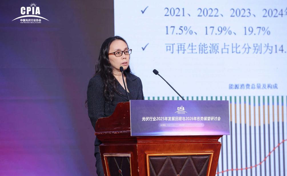 时璟丽：2035年风光装机36亿千瓦为发展下限 未来以能源强国为核心目标