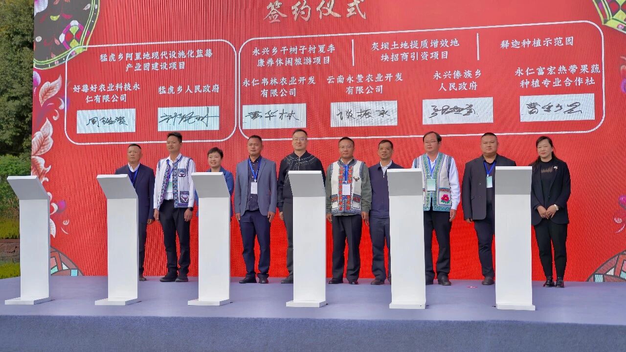 年产500MW/2GWh钒电池产业基地建设项目落户云南楚雄