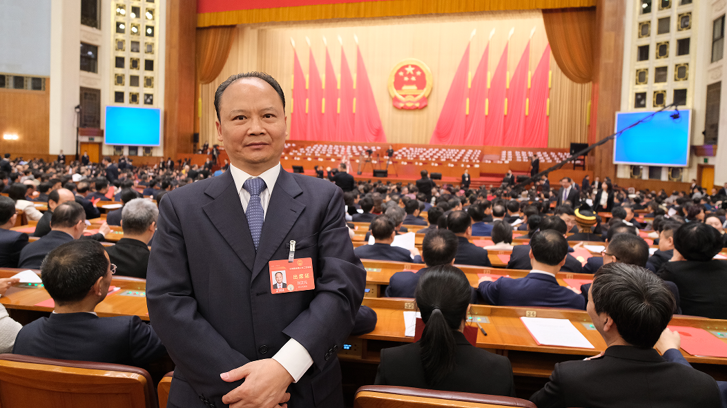 刘汉元代表：建议优化新能源电价机制、提高机制电量竞价上下限