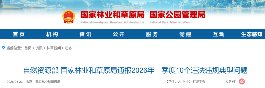 某央企新能源电站建设毁林，被通报！