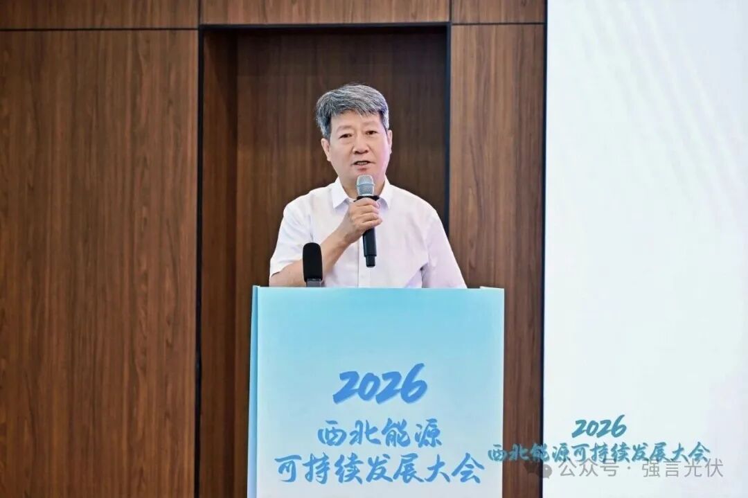 梁志鹏建言“十五五”西北可再生能源占比突破70%
