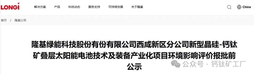 总投资超2亿元！隆基100MW钙钛矿叠层中试线环评报前公示
