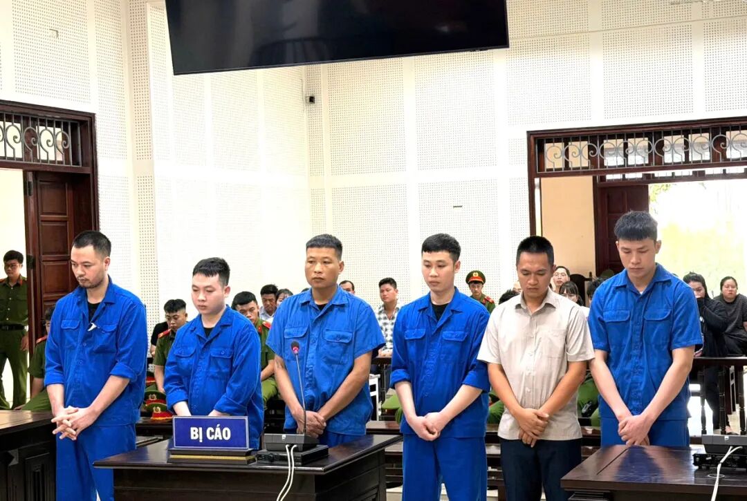 晶科越南工厂银浆盗窃案:6人获刑79年!