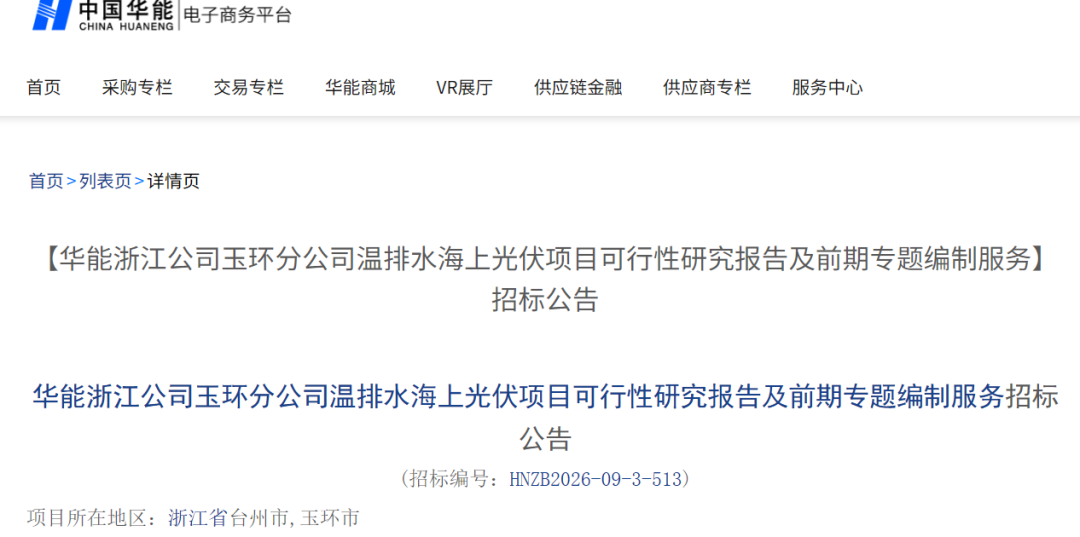 华能78MW海上光伏项目启动