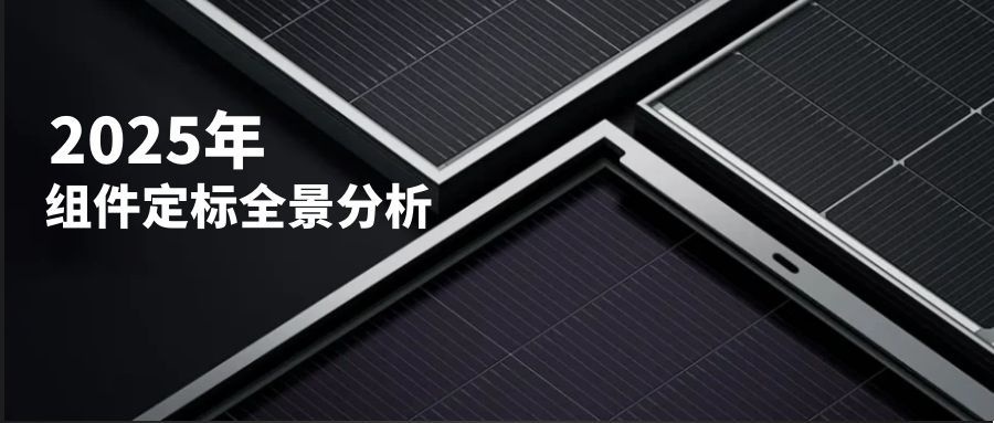 2025年组件定标全景分析：140GW同比下滑50%，中国能建、中核、大唐领衔