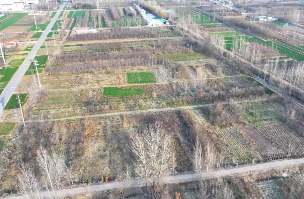 临沂拟建独立储能项目,投资4.8亿